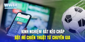 Thumb kinh nghiệm bắt kèo chấp WW88