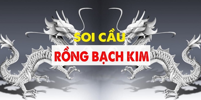 Bí quyết soi cầu rồng bạch kim hiệu quả WW88